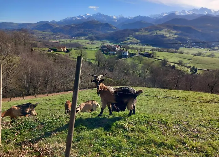 Casa De Aldea El Mirador De Villaverde * Mestas De Con