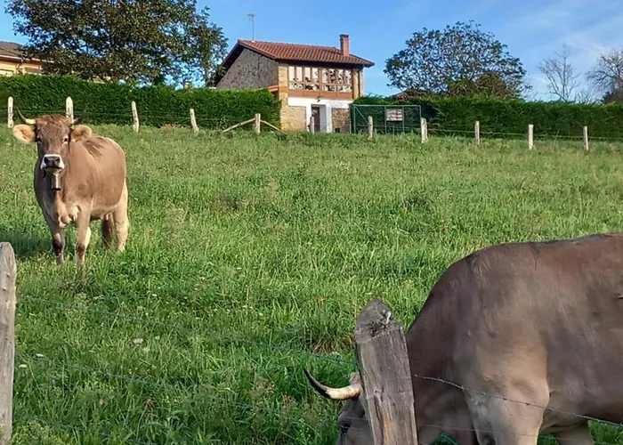 Casa De Aldea El Mirador De Villaverde * Mestas De Con